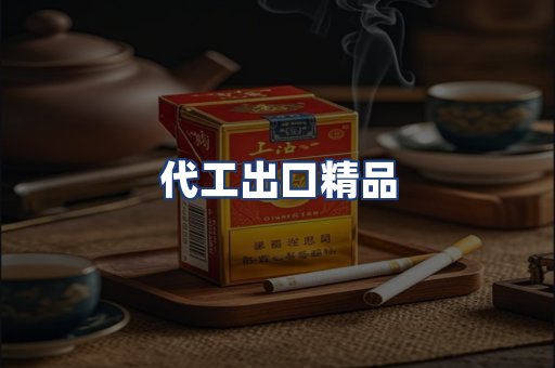 代工出口精品